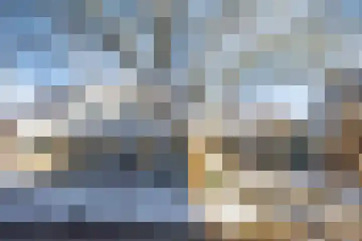 Vallaat 25 Tolbert thumbnail 5