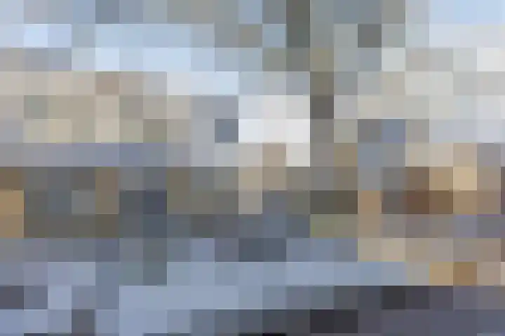 Vallaat 25 Tolbert thumbnail 6