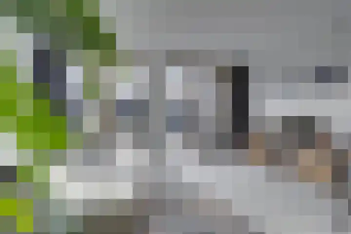 Valleilaan 46 Woudenberg thumbnail 11