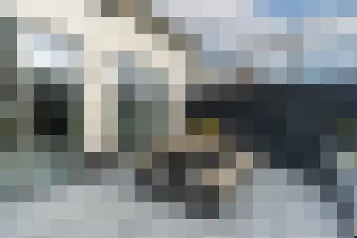 Valleilaan 46 Woudenberg thumbnail 43