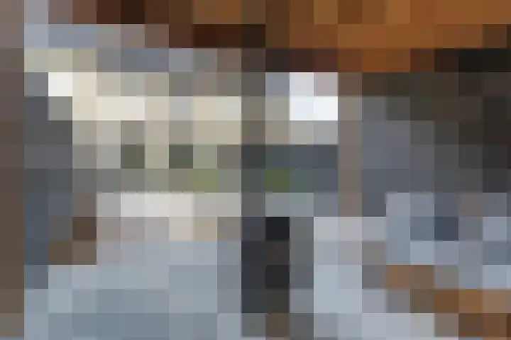 Valleilaan 46 Woudenberg thumbnail 46