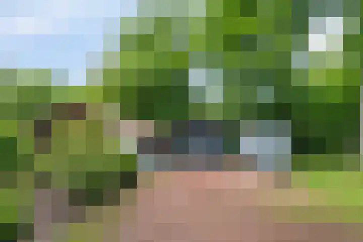 Valtherweg 36 064 Exloo thumbnail 12