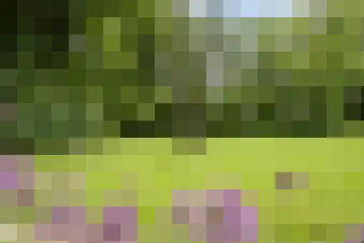 Valtherweg 36 064 Exloo thumbnail 17