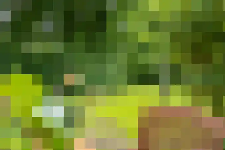 Valtherweg 36 064 Exloo thumbnail 18