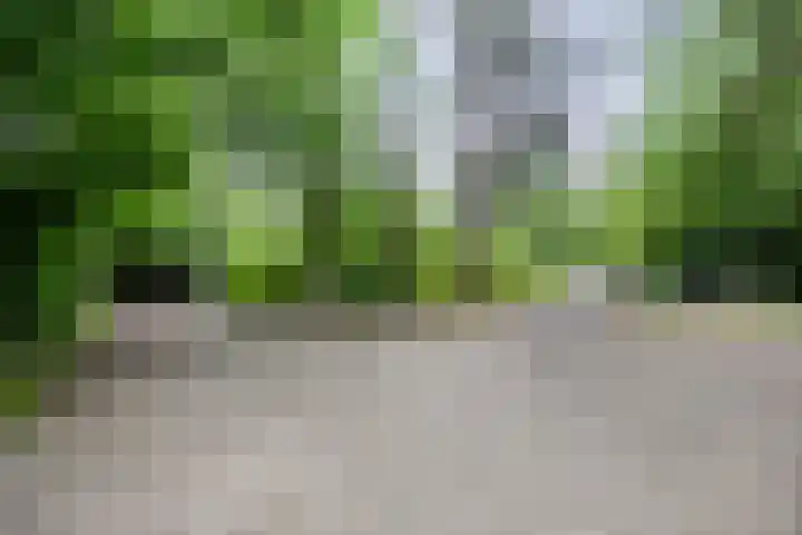 Valtherweg 36 064 Exloo thumbnail 21