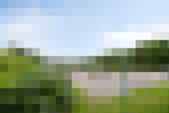 Valtherweg 36 064 Exloo thumbnail 25