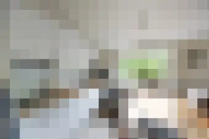 Valtherweg 36 064 Exloo thumbnail 4