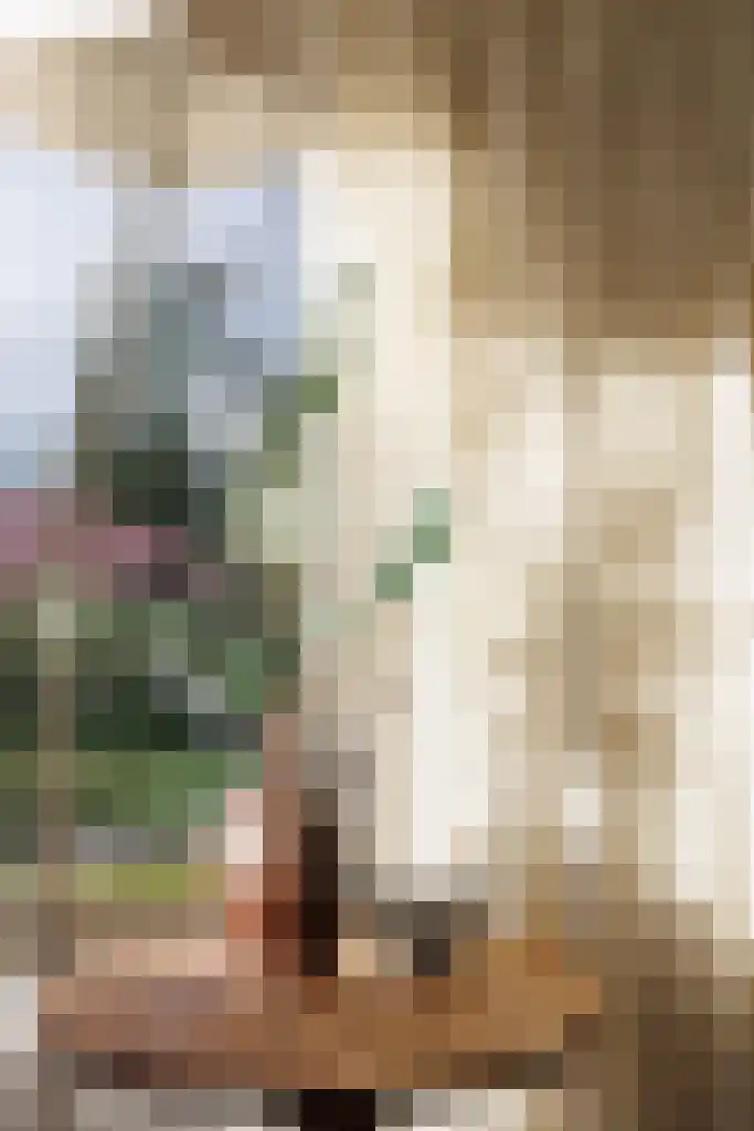 Valtherweg 36 079 Exloo thumbnail 11