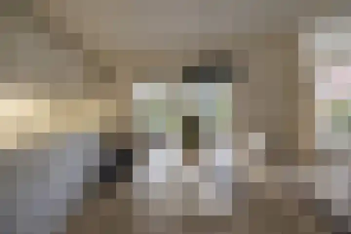 Valtherweg 36 079 Exloo thumbnail 14