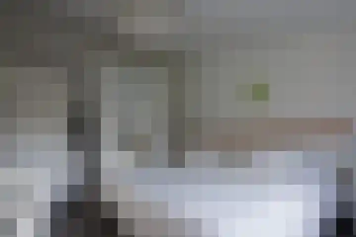 Valtherweg 36 079 Exloo thumbnail 17