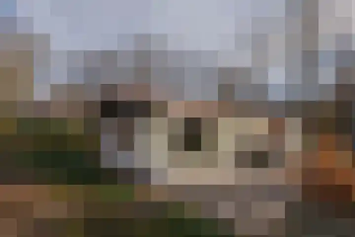 Valtherweg 36 079 Exloo thumbnail 4