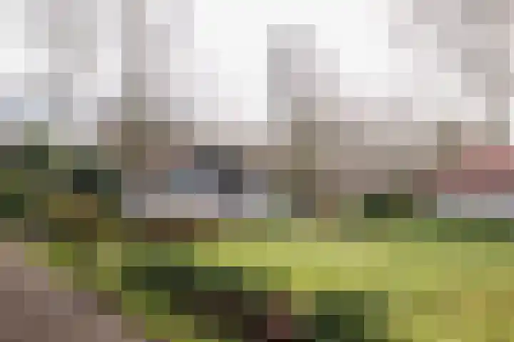 Valtherweg 36 079 Exloo thumbnail 5