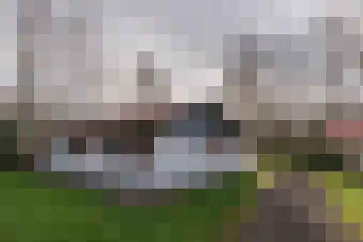 Valtherweg 36 079 Exloo thumbnail 6