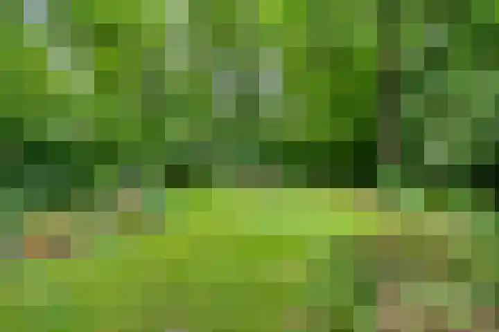 Valtherweg 36 097 Exloo thumbnail 15