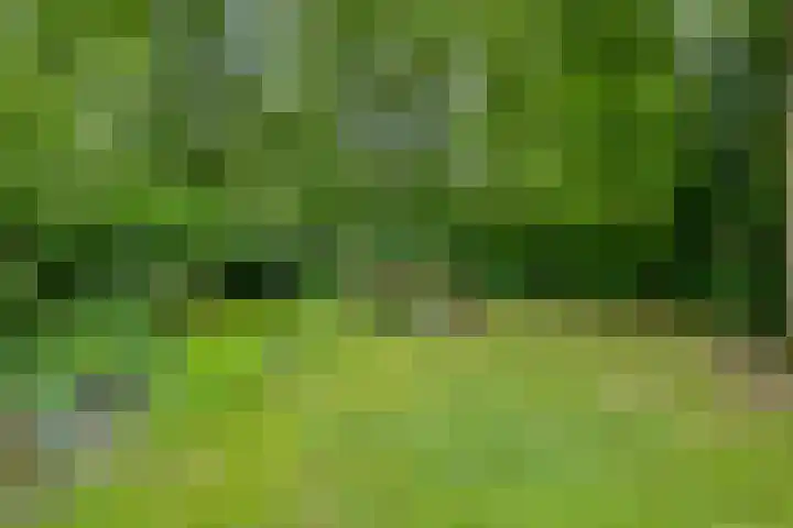 Valtherweg 36 097 Exloo thumbnail 18