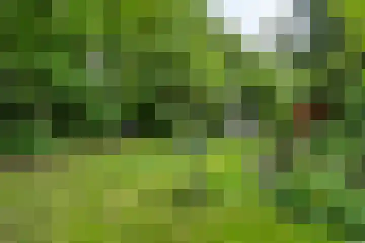 Valtherweg 36 097 Exloo thumbnail 19