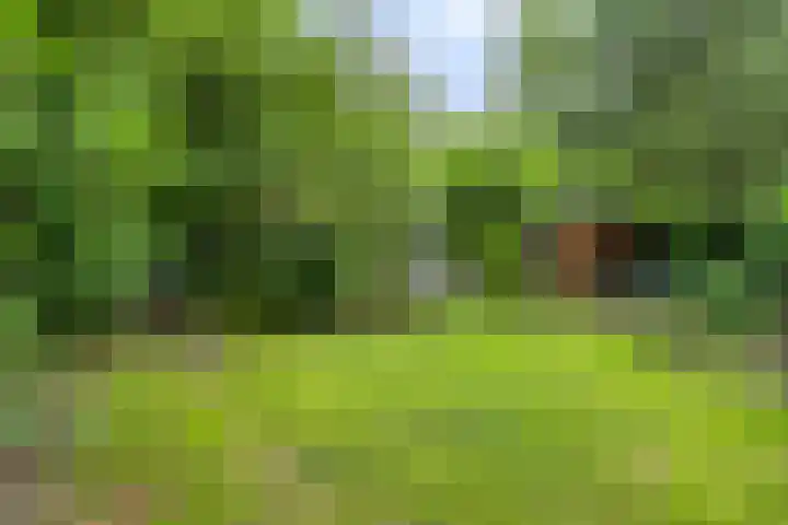 Valtherweg 36 097 Exloo thumbnail 20