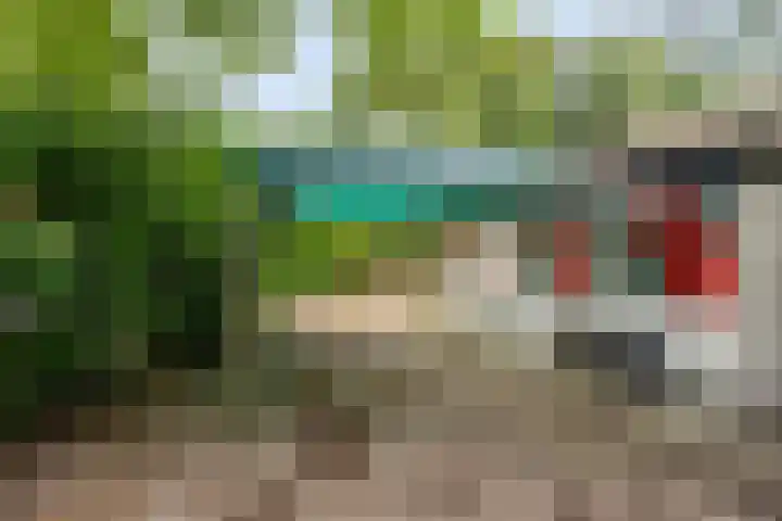 Valtherweg 36 097 Exloo thumbnail 25