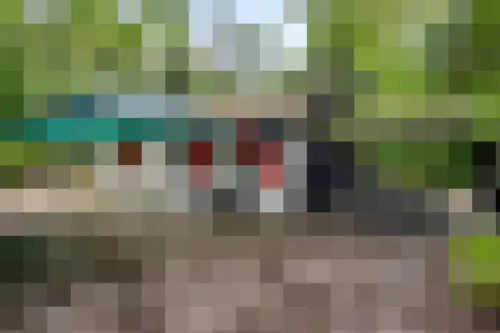 Valtherweg 36 097 Exloo thumbnail 26