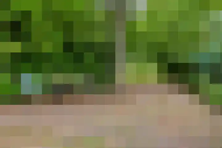 Valtherweg 36 097 Exloo thumbnail 28