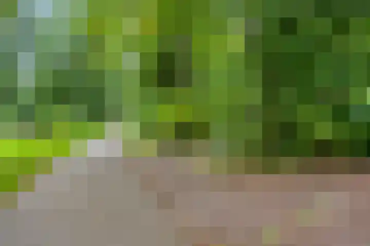 Valtherweg 36 097 Exloo thumbnail 30
