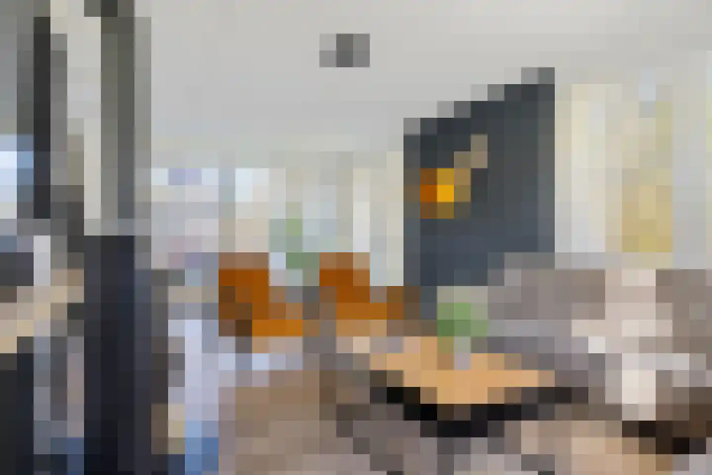 Valtherweg 36 210 Exloo thumbnail 12