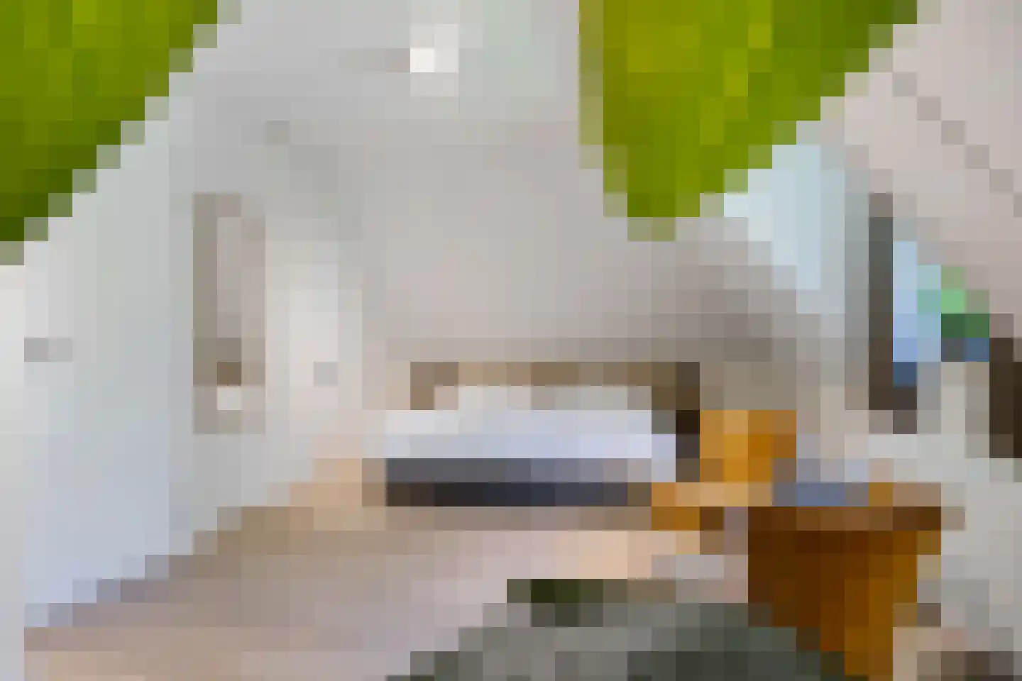 Valtherweg 36 210 Exloo thumbnail 21