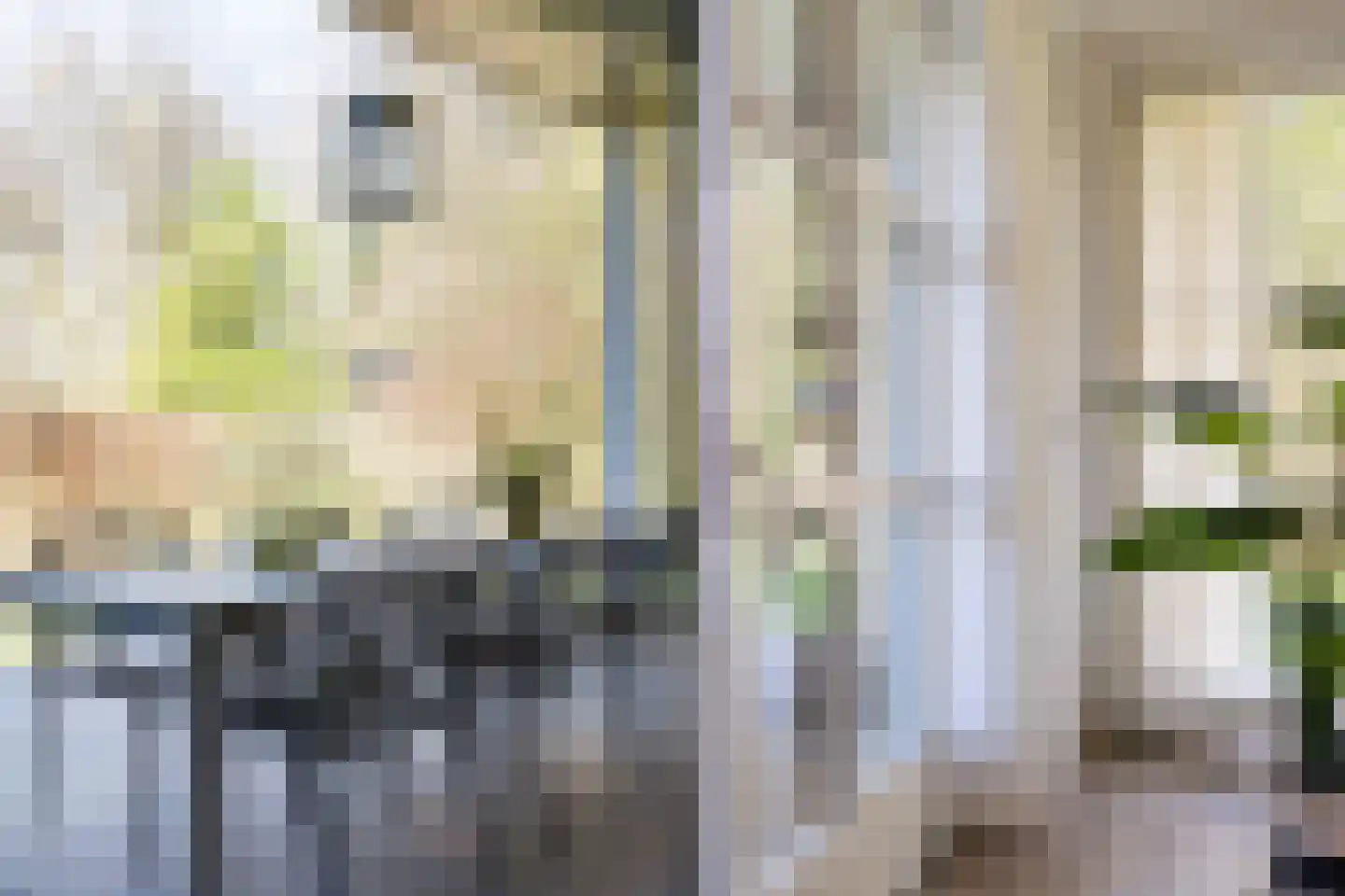 Valtherweg 36 210 Exloo thumbnail 31