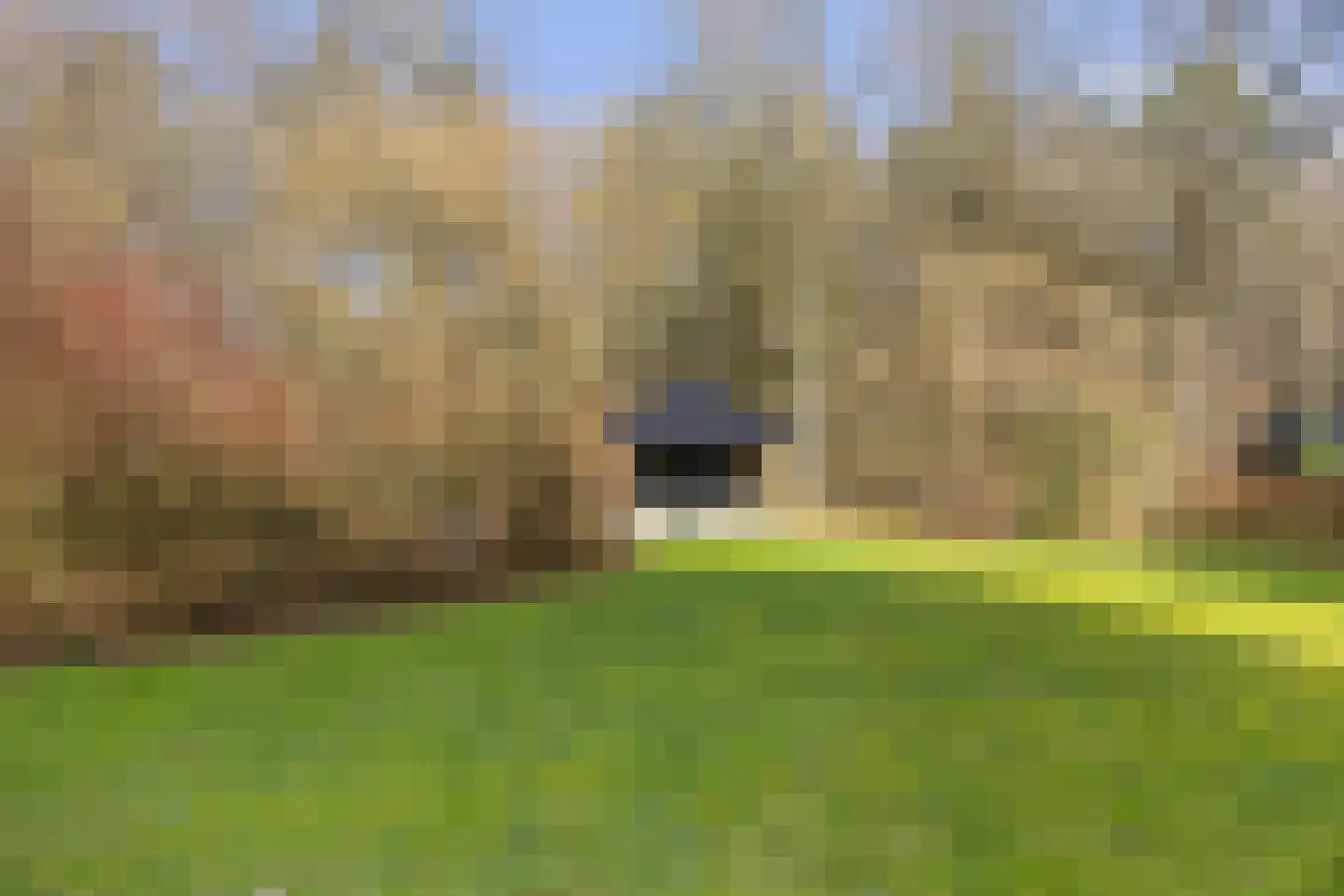 Valtherweg 36 210 Exloo thumbnail 33