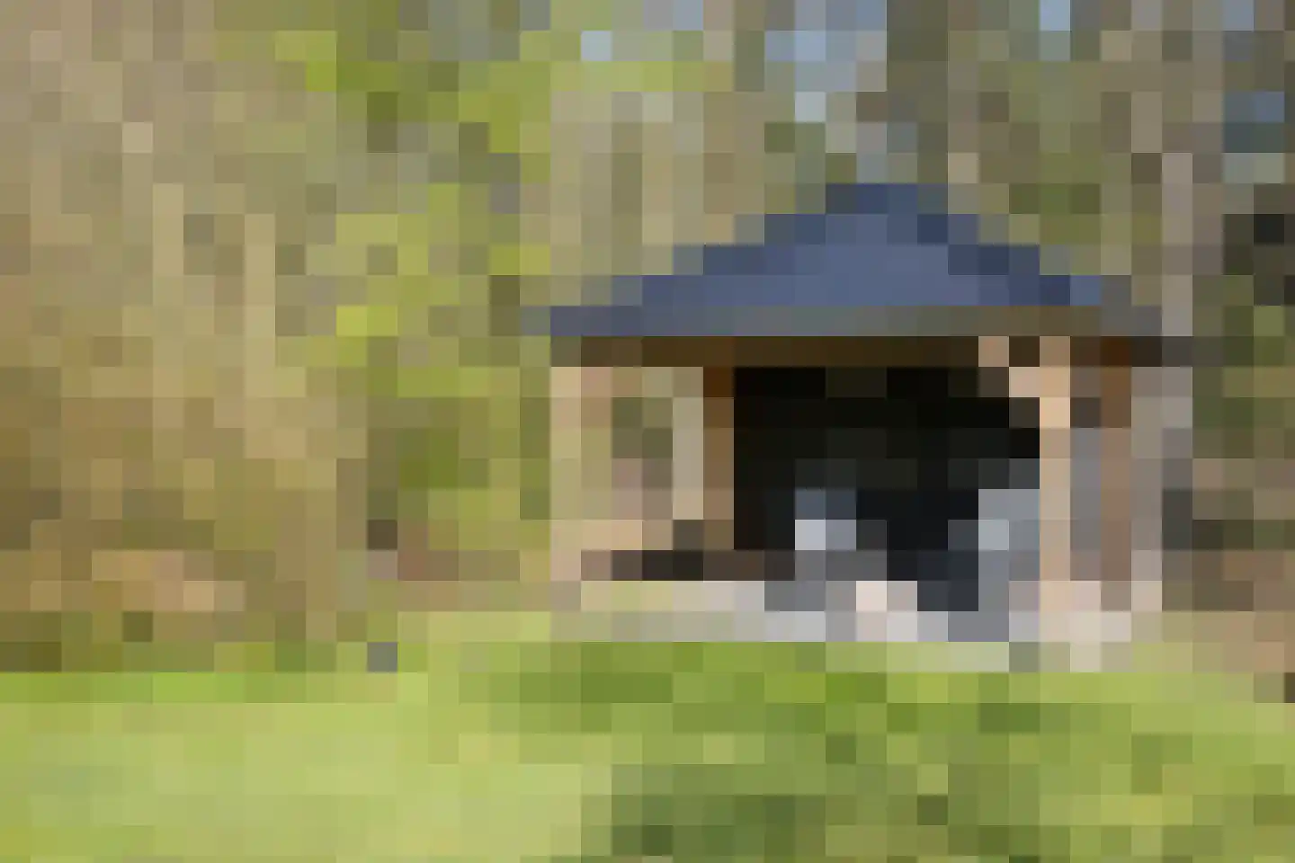 Valtherweg 36 210 Exloo thumbnail 34