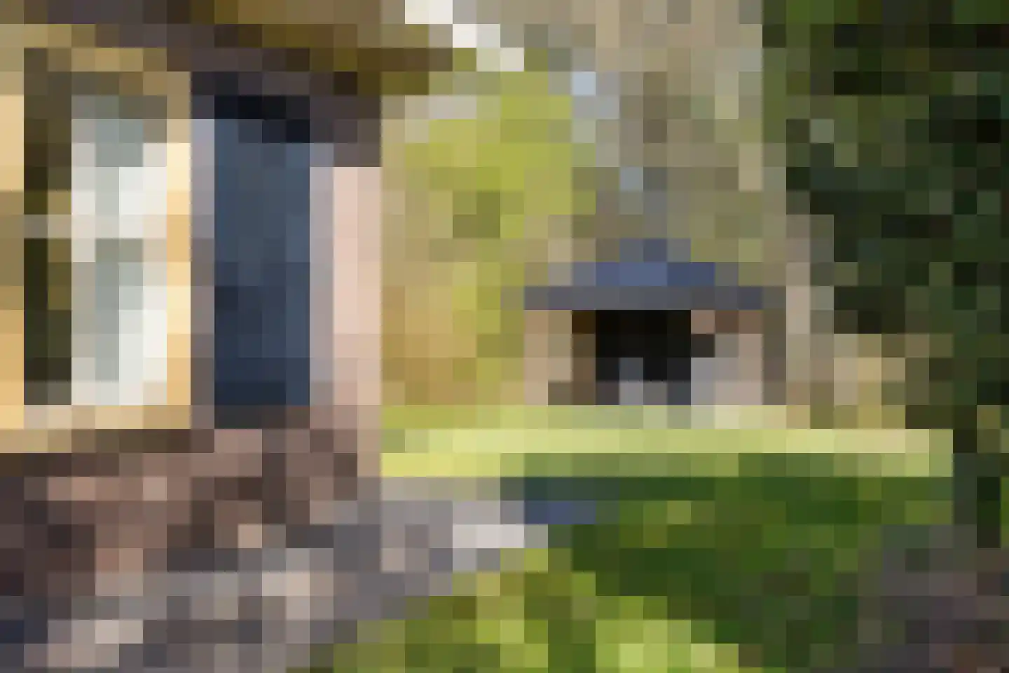 Valtherweg 36 210 Exloo thumbnail 36