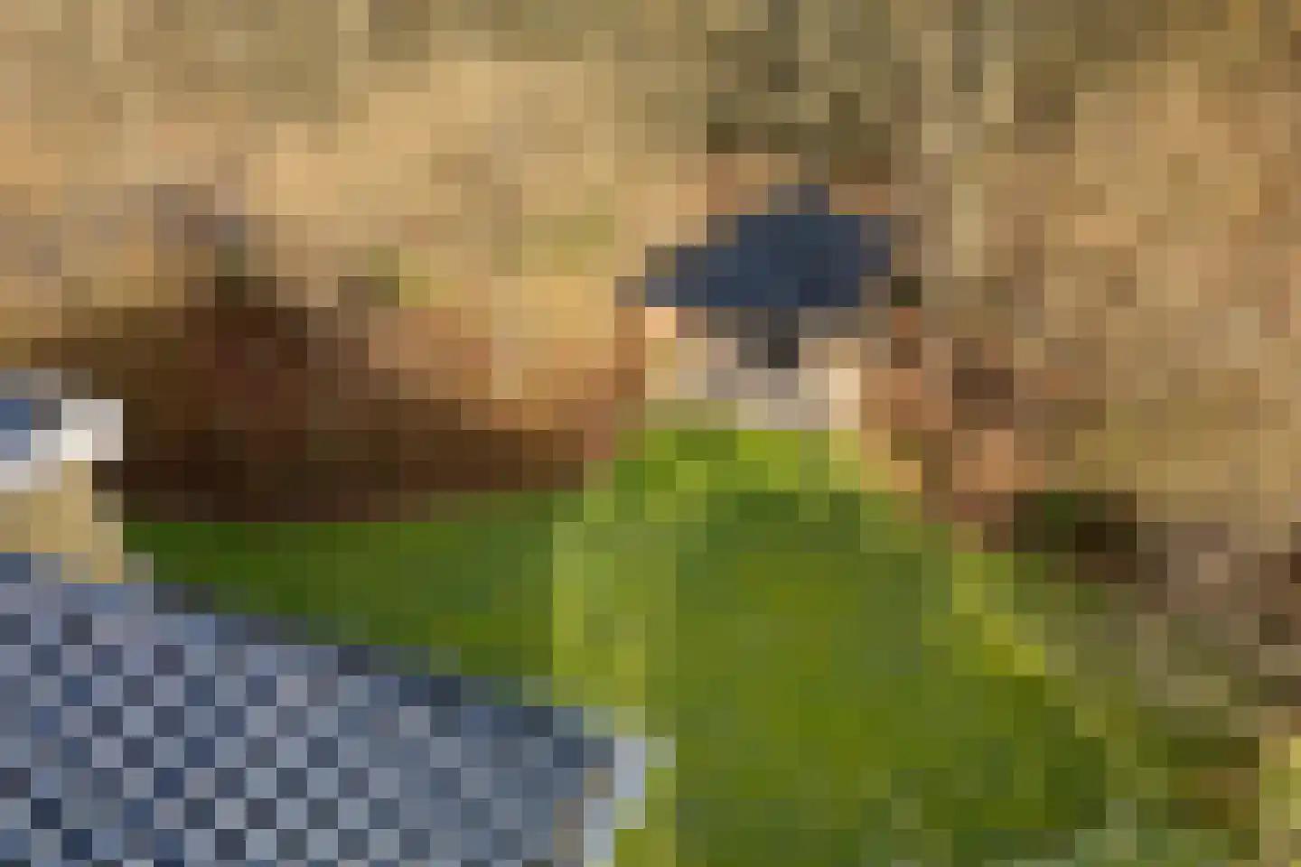 Valtherweg 36 210 Exloo thumbnail 37