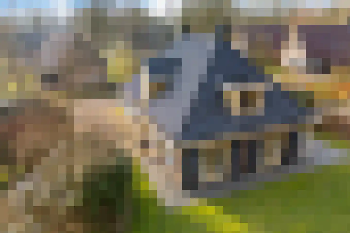 Valtherweg 36 210 Exloo thumbnail 39