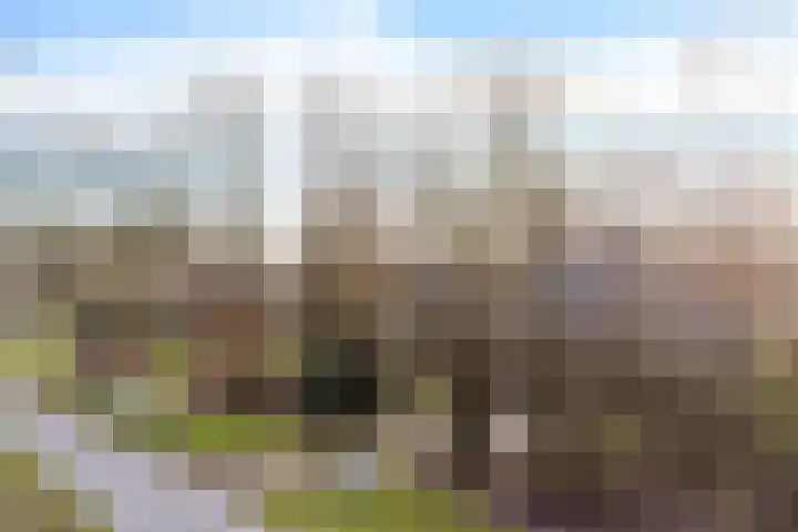 Valtherweg 36 226 Exloo thumbnail 49