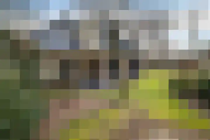 Valtherweg 36 226 Exloo thumbnail 5
