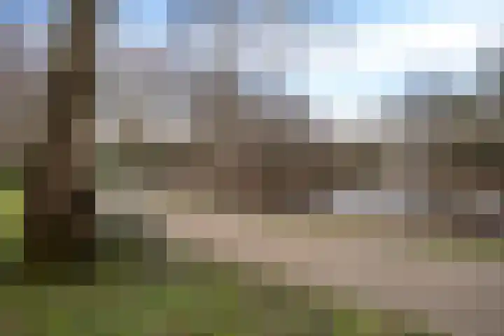 Valtherweg 36 226 Exloo thumbnail 54