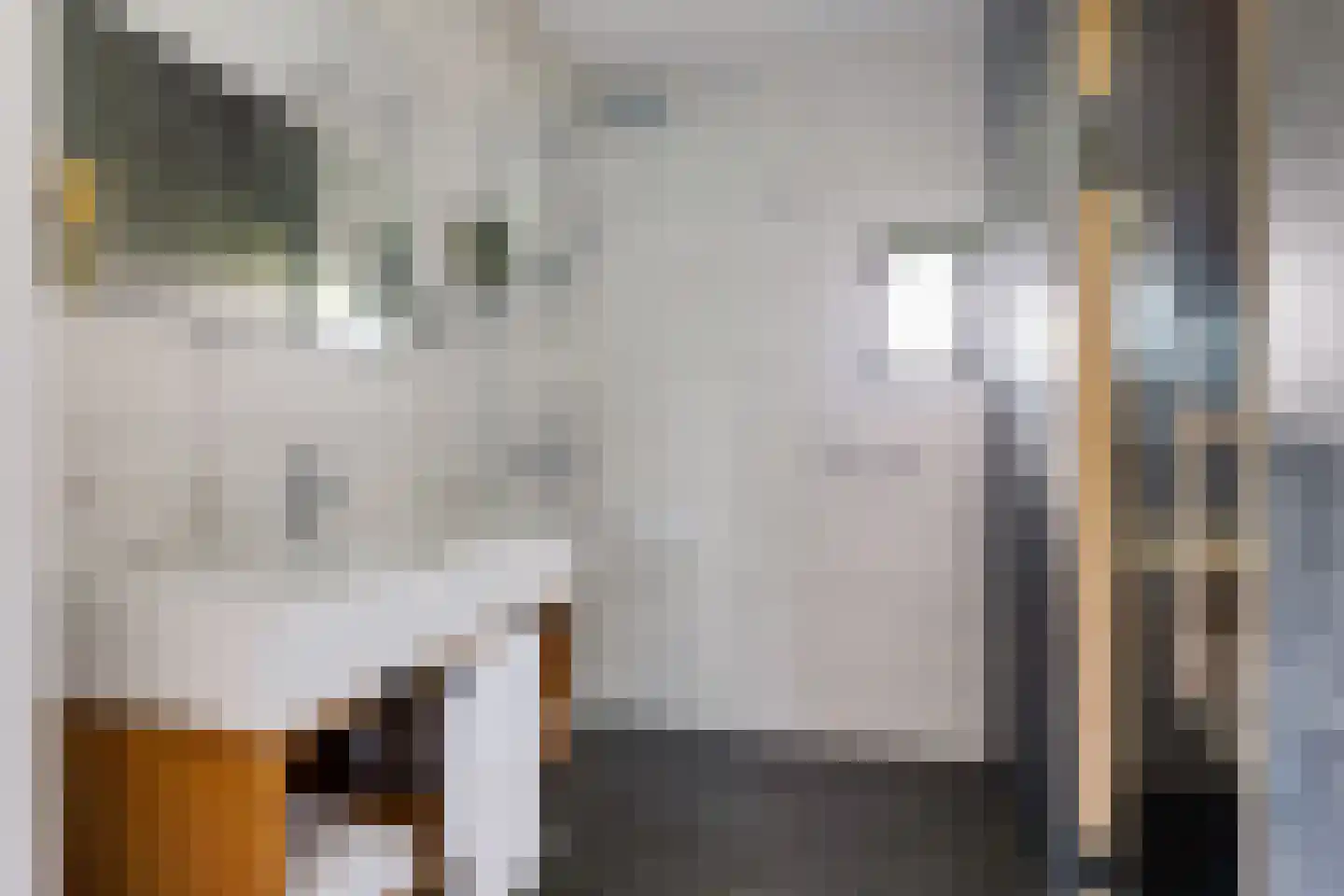 Valtherweg 36 259 Exloo thumbnail 11