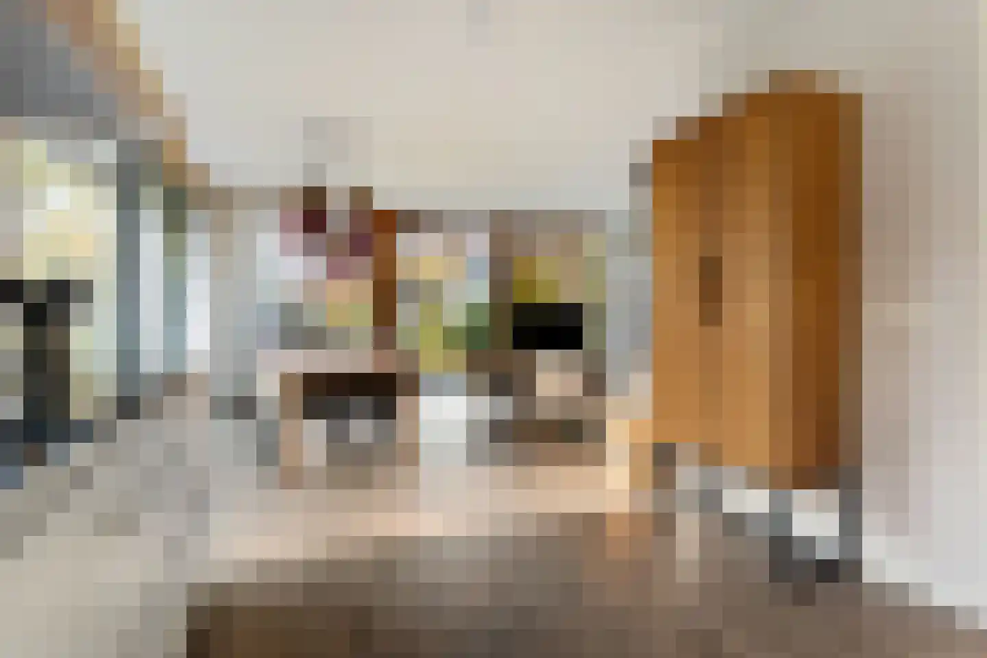Valtherweg 36 259 Exloo thumbnail 16