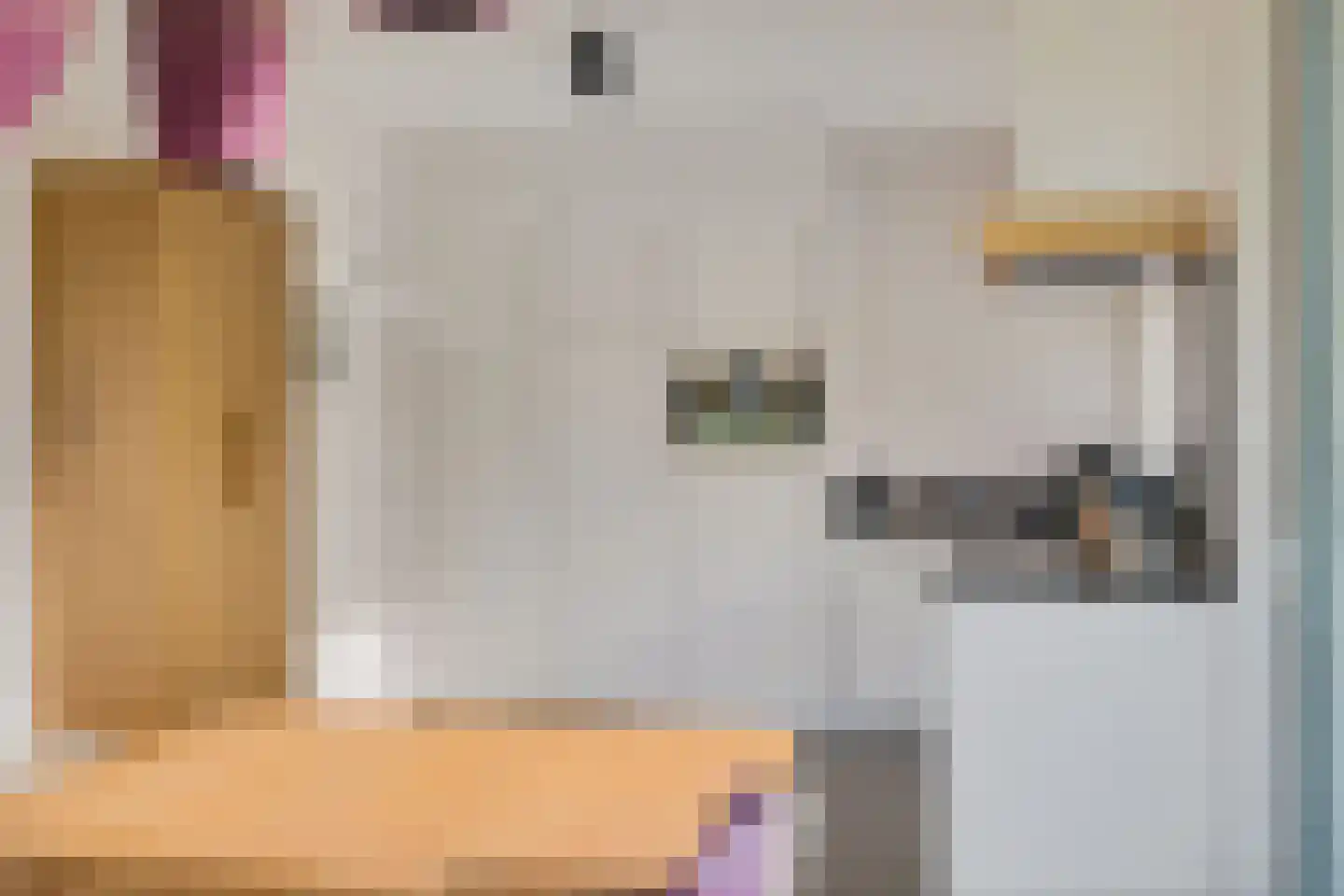 Valtherweg 36 259 Exloo thumbnail 19