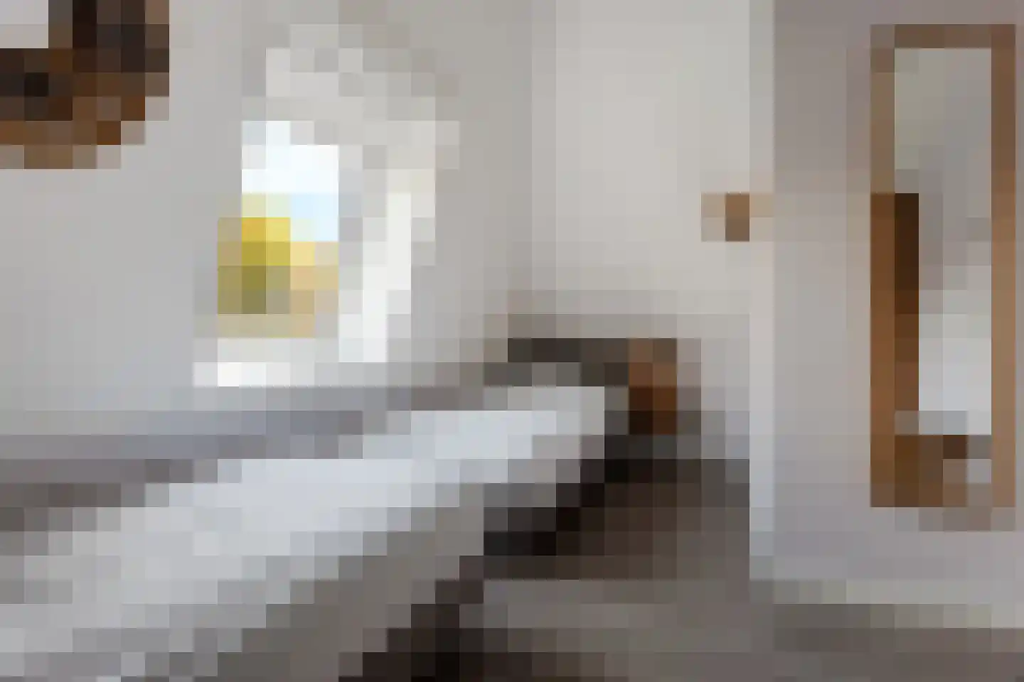 Valtherweg 36 259 Exloo thumbnail 26