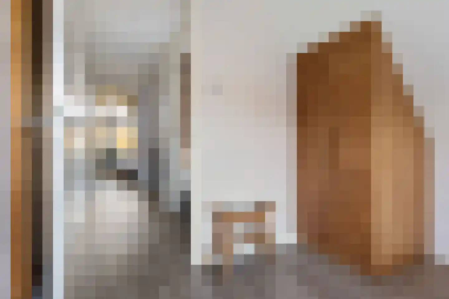 Valtherweg 36 259 Exloo thumbnail 28