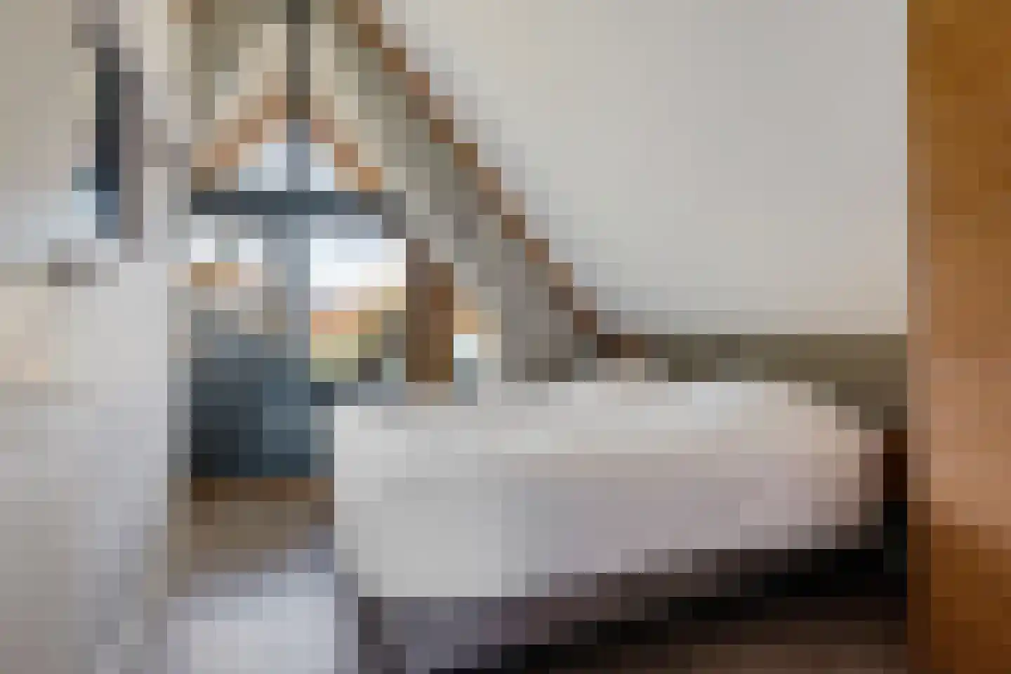 Valtherweg 36 259 Exloo thumbnail 32