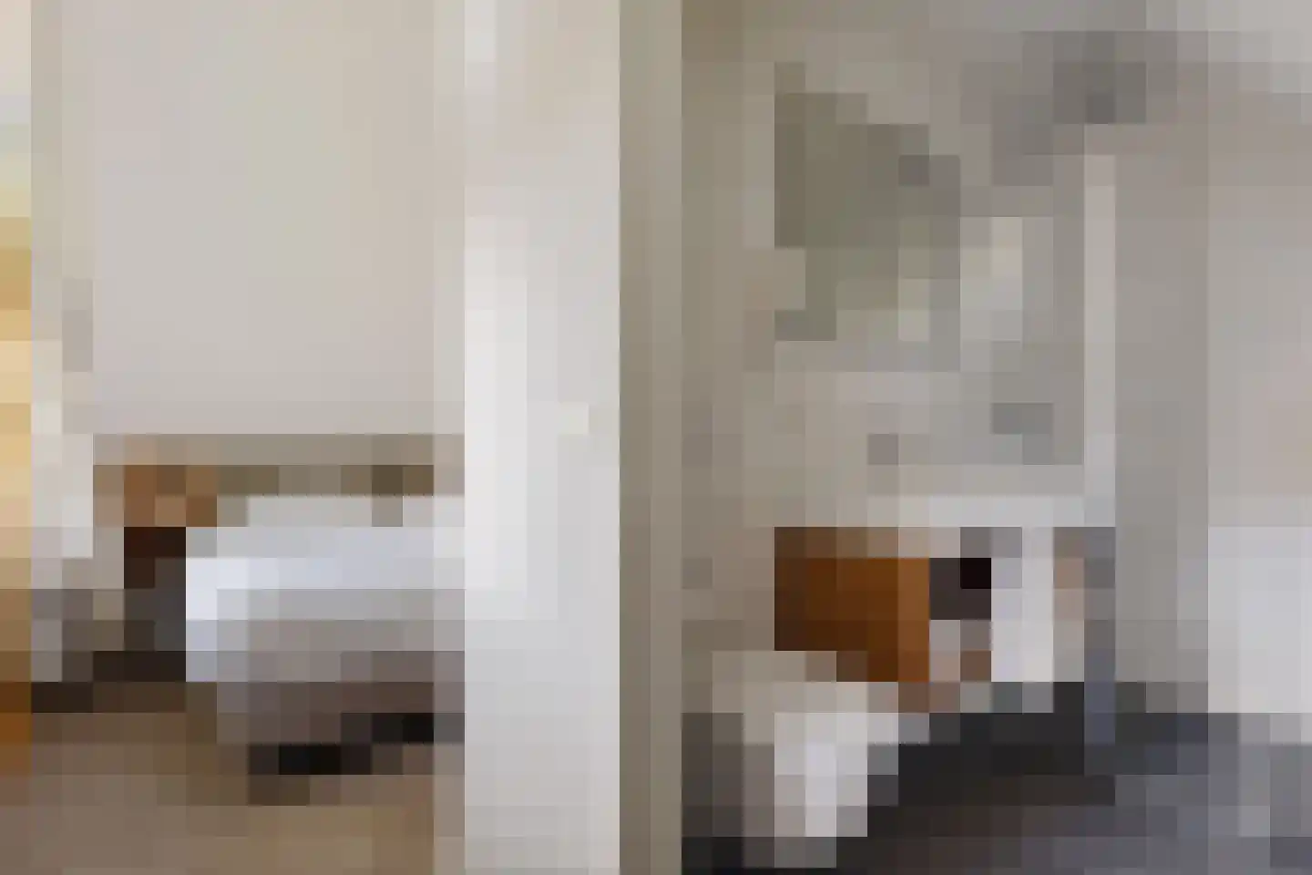 Valtherweg 36 259 Exloo thumbnail 34