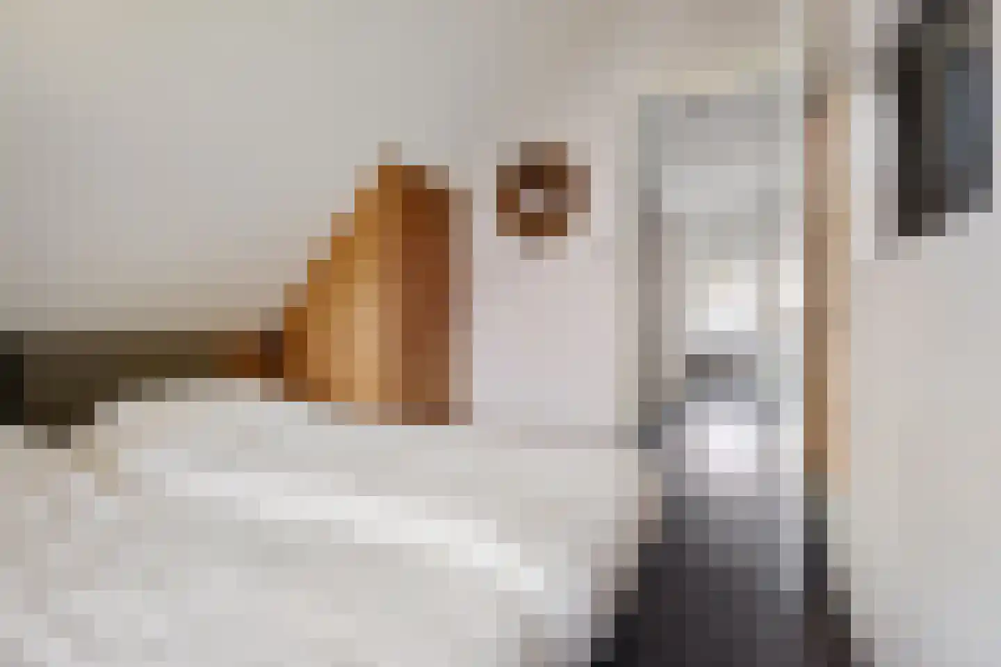 Valtherweg 36 259 Exloo thumbnail 36