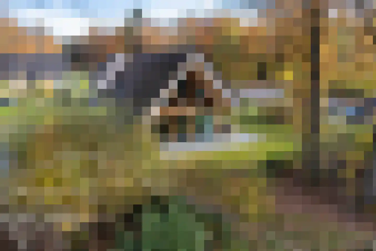 Valtherweg 36 259 Exloo thumbnail 39