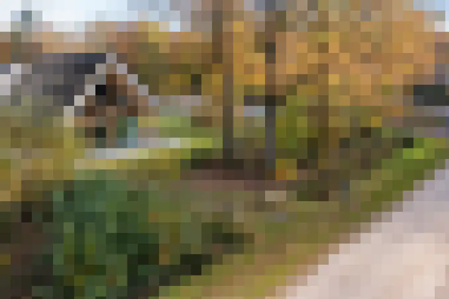Valtherweg 36 259 Exloo thumbnail 40