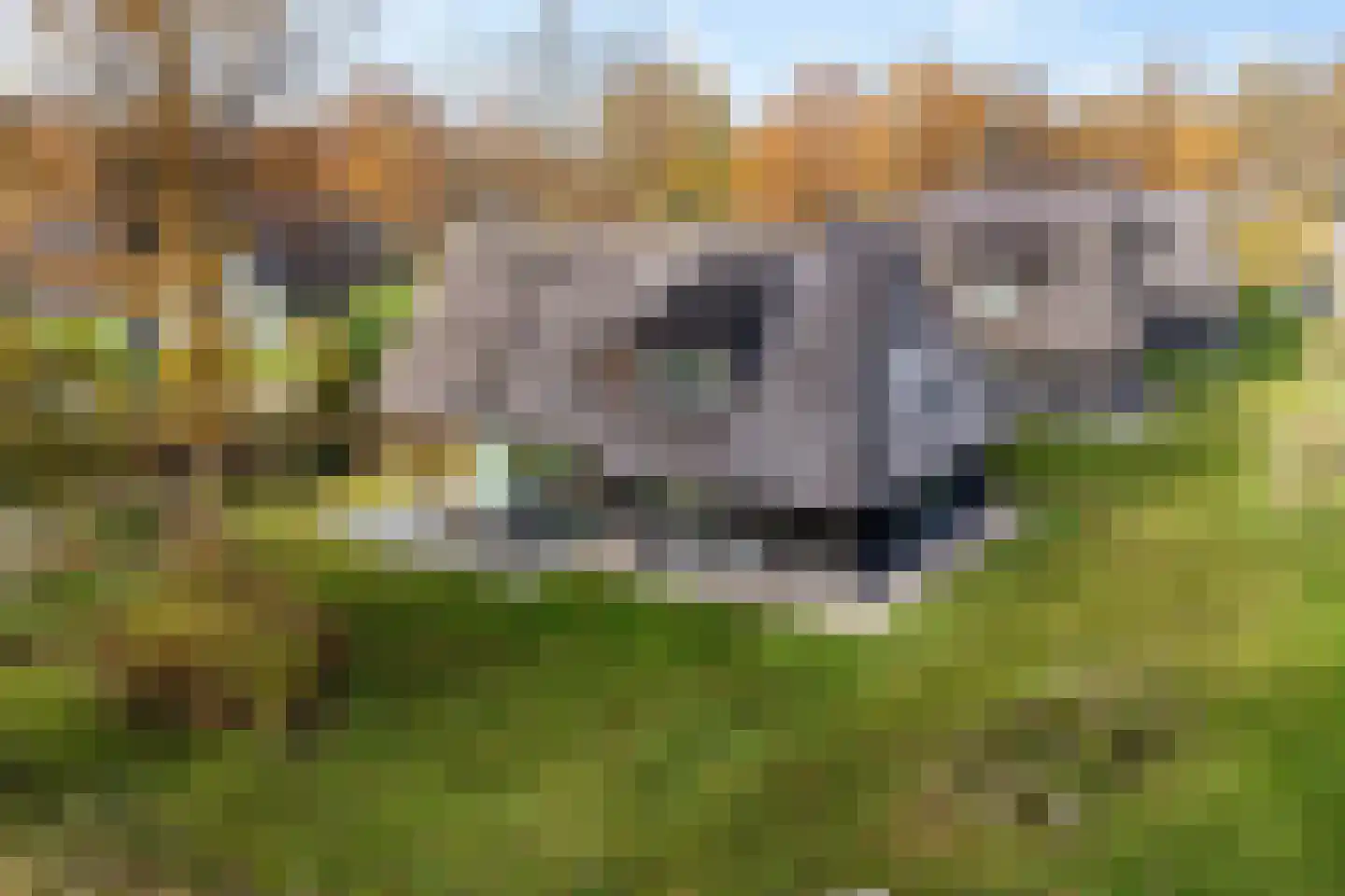 Valtherweg 36 259 Exloo thumbnail 41