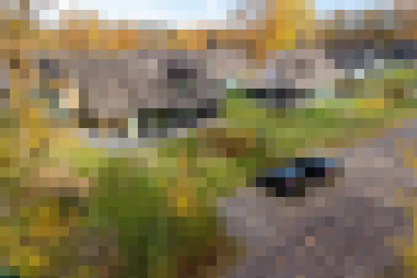 Valtherweg 36 259 Exloo thumbnail 44