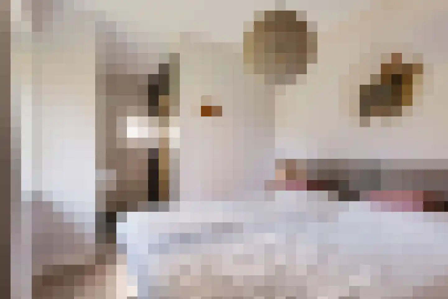 Valtherweg 36 259 Exloo thumbnail 9