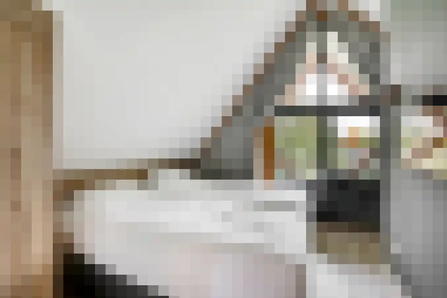 Valtherweg 36 391 Exloo thumbnail 17